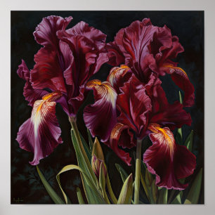Maroon Irissen Bloemenkunst Print Poster