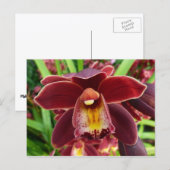 Maroon Orchids I Beauful Red Floral Briefkaart (Voorkant / Achterkant)