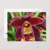 Maroon Orchids I Beauful Red Floral Briefkaart (Voorkant / Achterkant)