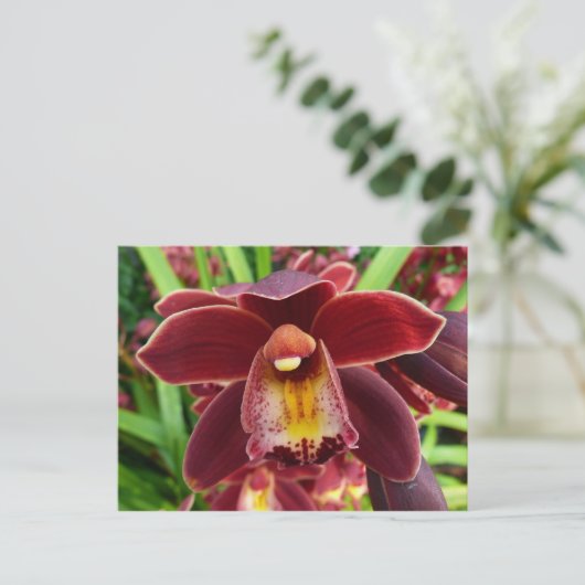 Maroon Orchids I Beauful Red Floral Briefkaart (Staand voorkant)
