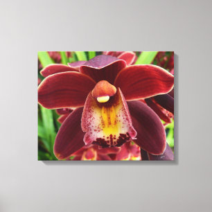 Maroon Orchids I Beauful Red Floral Canvas Afdruk
