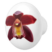 Maroon Orchids I Beauful Red Floral Keramische Knop (Rechts)