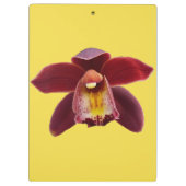 Maroon Orchids I Beauful Red Floral Klembord (Achterkant)