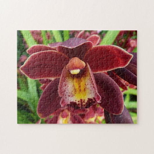 Maroon Orchids I Beauful Red Floral Legpuzzel (Horizontaal)