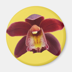 Maroon Orchids I Beauful Red Floral Magneet