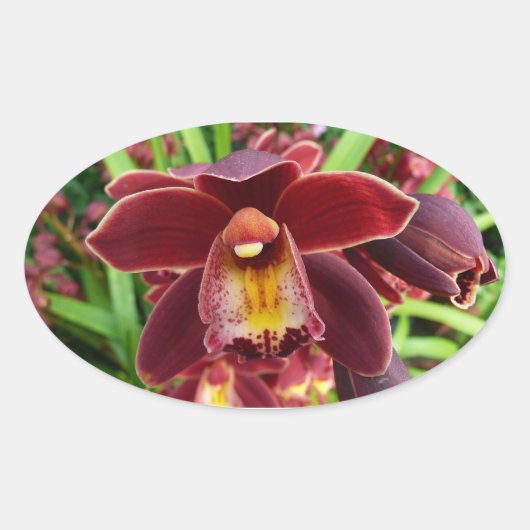 Maroon Orchids I Beauful Red Floral Ovale Sticker (Voorkant)