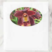 Maroon Orchids I Beauful Red Floral Ovale Sticker (Tas)