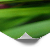 Maroon Orchids I Beauful Red Floral Poster (Hoek)