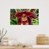 Maroon Orchids I Beauful Red Floral Poster (Keuken)
