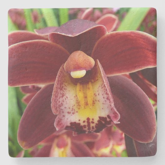 Maroon Orchids I Beauful Red Floral Stenen Onderzetter (Voorkant)