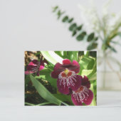 Maroon Orchids II Elegant Floral Briefkaart (Staand voorkant)