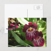 Maroon Orchids II Elegant Floral Briefkaart (Voorkant / Achterkant)