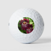 Maroon Orchids II Elegant Floral Golfballen (Voorkant)