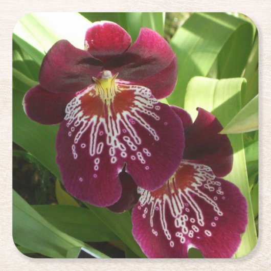 Maroon Orchids II Elegant Floral Kartonnen Onderzetters (Voorkant)