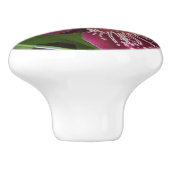 Maroon Orchids II Elegant Floral Keramische Knop (Zijkant)