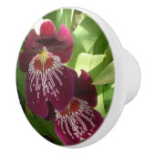Maroon Orchids II Elegant Floral Keramische Knop (Rechts)