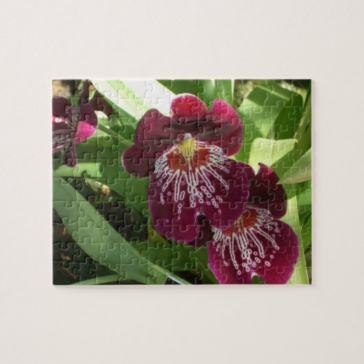 Maroon Orchids II Elegant Floral Legpuzzel (Horizontaal)