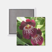 Maroon Orchids II Elegant Floral Magneet (Voorkant / Achterkant)