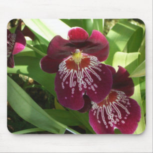 Maroon Orchids II Elegant Floral Muismat