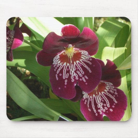 Maroon Orchids II Elegant Floral Muismat (Voorkant)