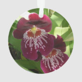 Maroon Orchids II Elegant Floral Ornament (achterkant)