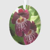 Maroon Orchids II Elegant Floral Ornament (voorkant)
