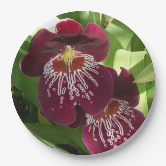 Maroon Orchids II Elegant Floral Papieren Bordje (Voorkant)