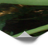 Maroon Orchids II Elegant Floral Poster (Hoek)