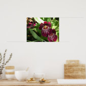 Maroon Orchids II Elegant Floral Poster (Keuken)