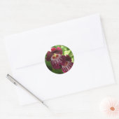 Maroon Orchids II Elegant Floral Ronde Sticker (Envelop)
