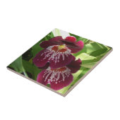 Maroon Orchids II Elegant Floral Tegeltje (Zijkant)