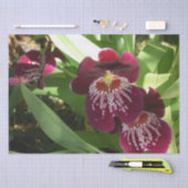 Maroon Orchids II Elegant Floral Tissuepapier (Craft)