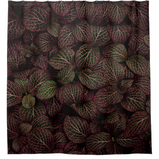 MAROON PETALED FLOWER DOUCHEGORDIJN (Voorkant)