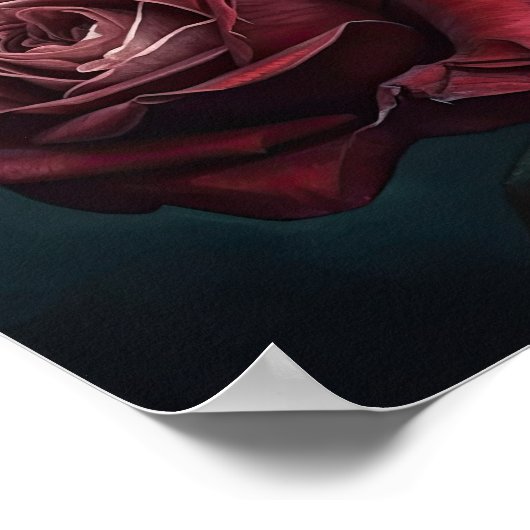 Maroon Rozen Bloem Art Print Poster (Hoek)