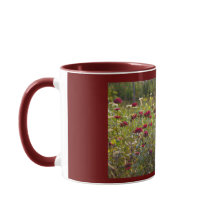 Maroon Wildbloemen