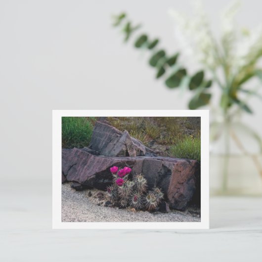 " Marooned on a bloom " Briefkaart (Staand voorkant)