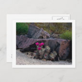 " Marooned on a bloom " Briefkaart (Voorkant / Achterkant)