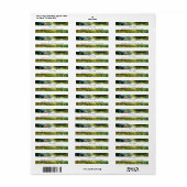 Marquerite Gachet in de tuin, Vincent van Gogh. Etiket (Full Sheet)