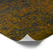 Marra Mamba Tiger Eye Poster (Hoek)