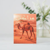 Marrakech Marokko  kameel Reissouvenirs Briefkaart (Staand voorkant)