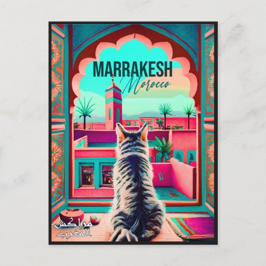 Marrakech Marokko Kat Reizen Toerisme Souvenir Briefkaart (Voorkant)