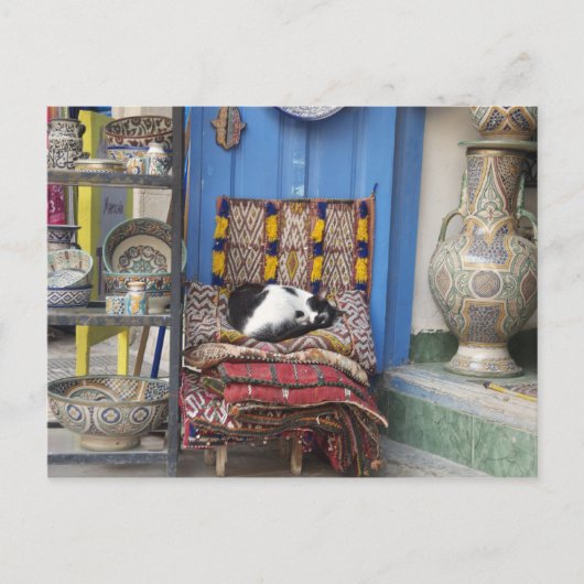 Marrakesh Cat Briefkaart (Voorkant)