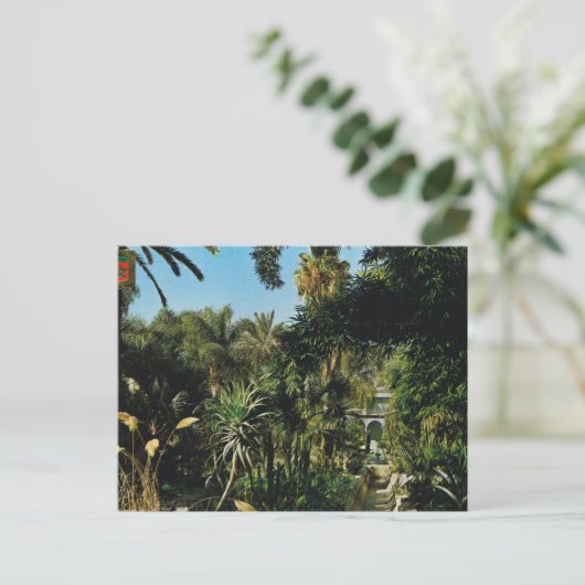 Marrakesh, Majorelle Gardens, Morocco Briefkaart (Staand voorkant)