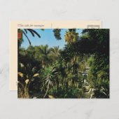 Marrakesh, Majorelle Gardens, Morocco Briefkaart (Voorkant / Achterkant)