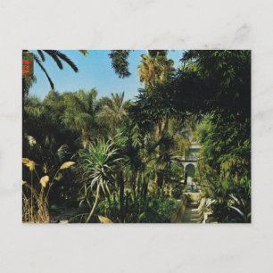 Marrakesh, Majorelle Gardens, Morocco Briefkaart
