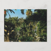 Marrakesh, Majorelle Gardens, Morocco Briefkaart (Voorkant)