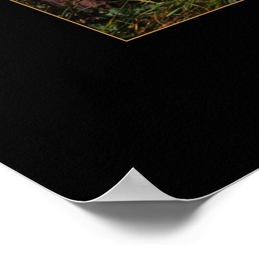 Marron Bells Poster (Hoek)