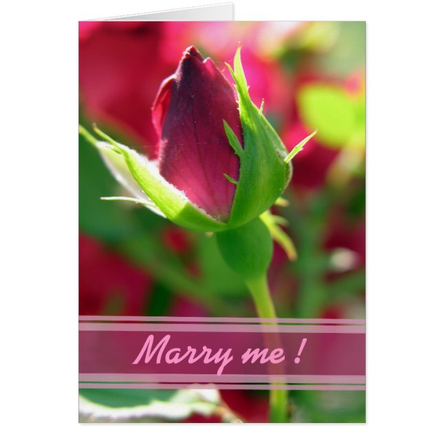Marry me red roodbud (Voorkant)