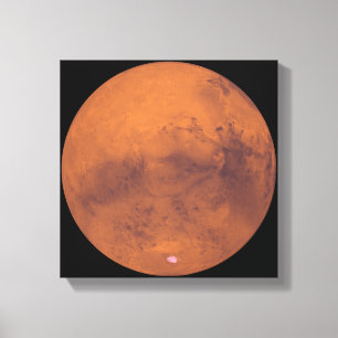 Mars 3 canvas afdruk