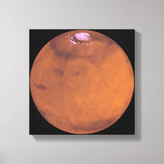 Mars 5 canvas afdruk (Voorkant)